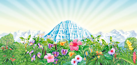 Ayurveda ou Ayur-veda Maharishi