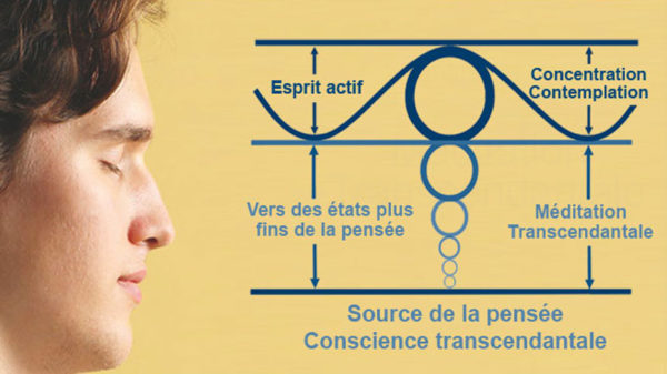 Photo méditant et schéma de présentation de l'expérience de verticalité de la Méditation Transcendantale