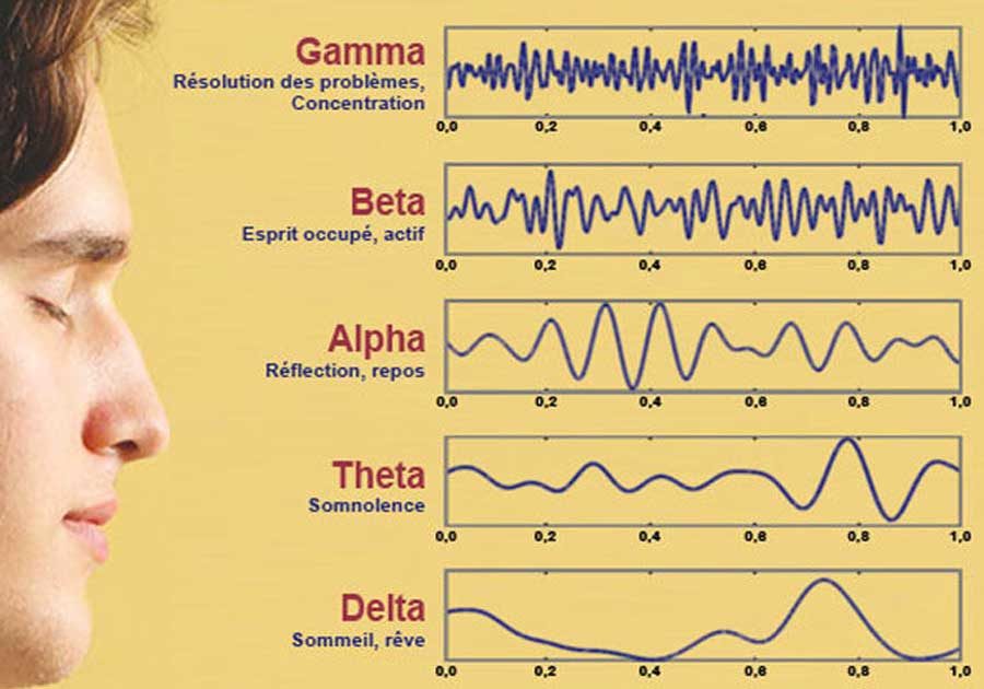 Photo de personne méditation et eeg Gamma, Beta, Alpha, Theta, Delta