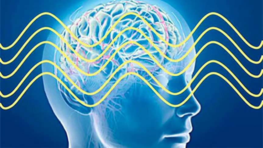 Schéma en coupe d'un cerveau avec ondes cérébrales