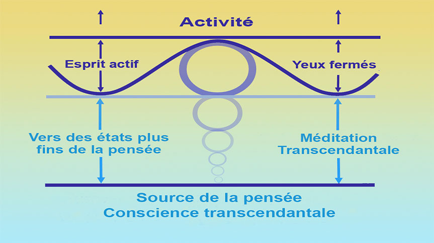 Schéma présentant l'expérience de la transcendance et de la Conscience transcendantale durant la Méditation Transcendantale