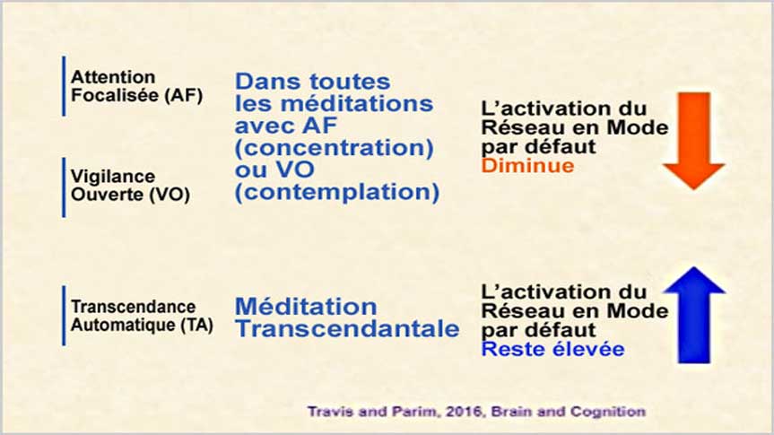 Méditation Transcendantale et activation du réseau mode par défaut